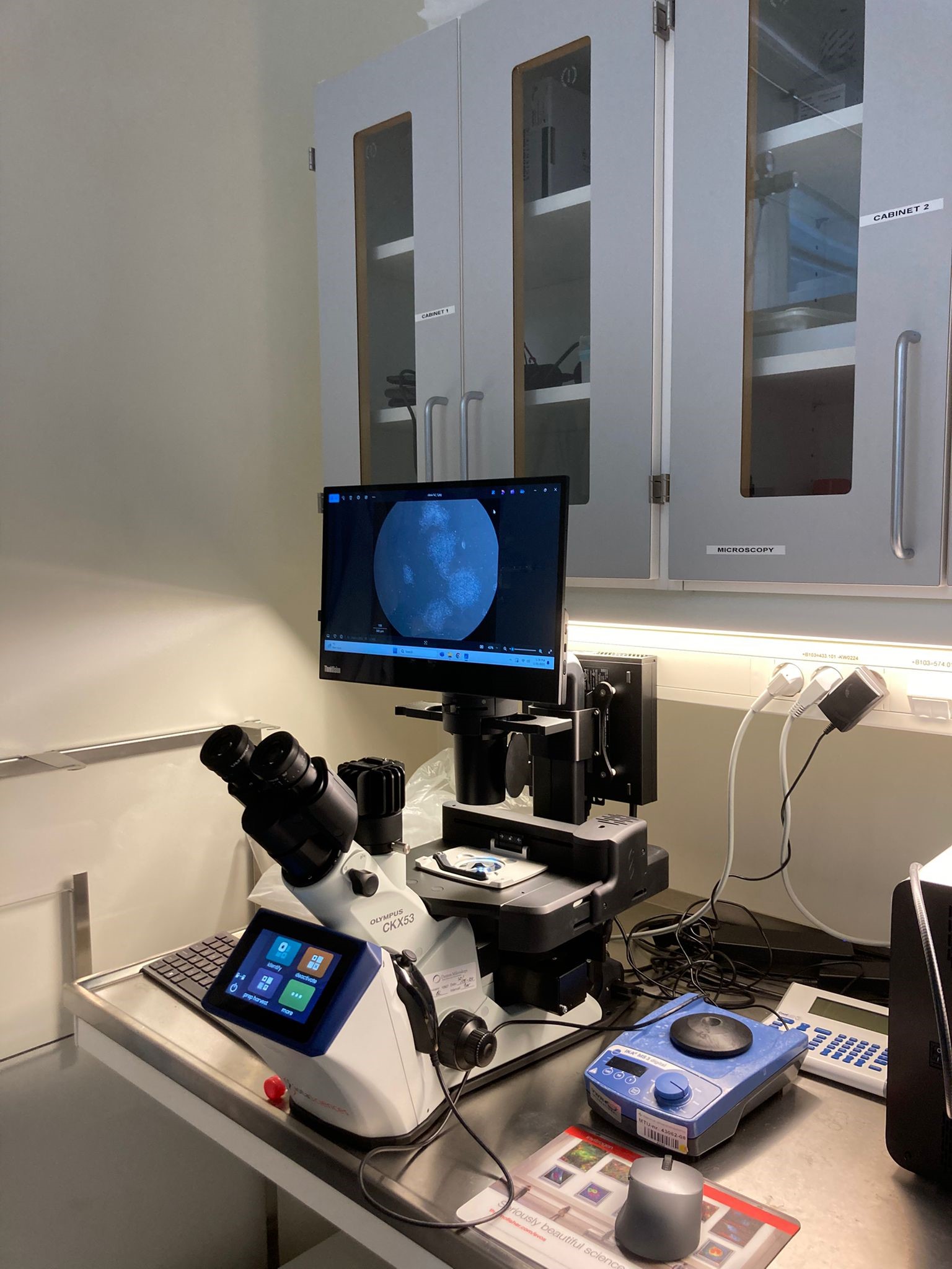 Isohub system for single cell cloning