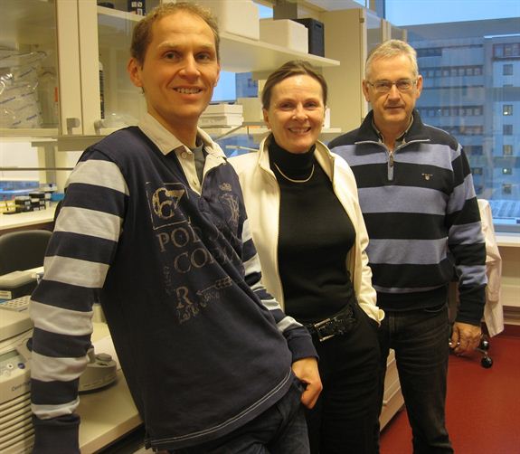 R.A. Lothe with coworkers R.I. Skotheim (left) and A. Nesbakken