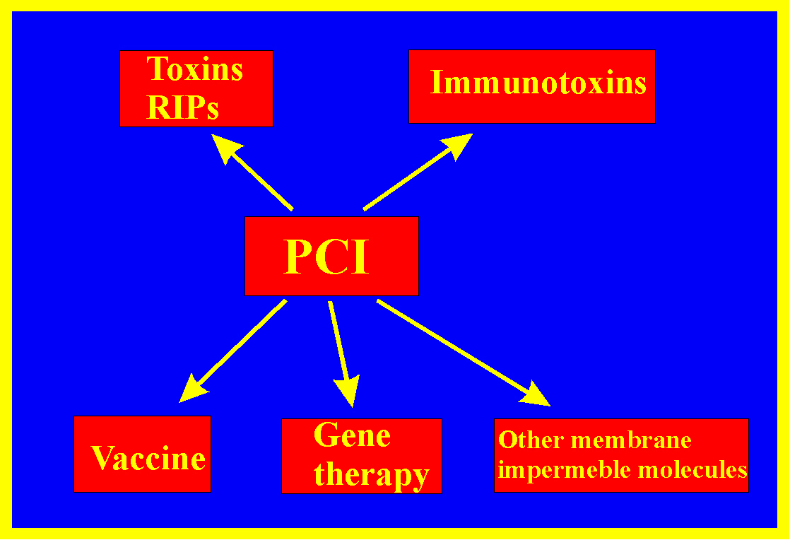 As indicated in the figure the PCI project can be divided into several subprojects. (click to enlarge)